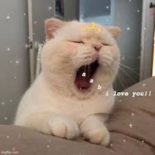 Aaaaaa love you <3 | made w/ Imgflip meme maker