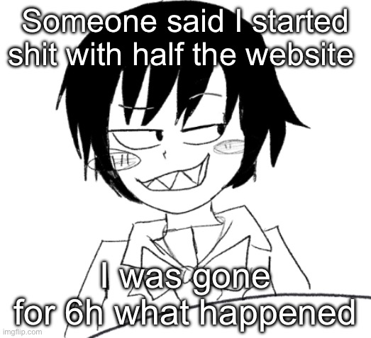 So confused rn | Someone said I started shit with half the website; I was gone for 6h what happened | image tagged in icy smirk | made w/ Imgflip meme maker