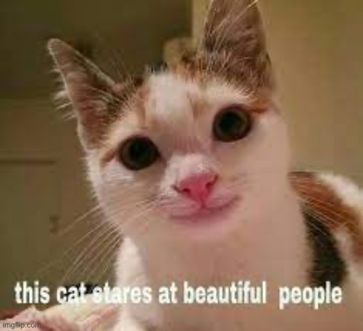 You’re cute <3 | made w/ Imgflip meme maker