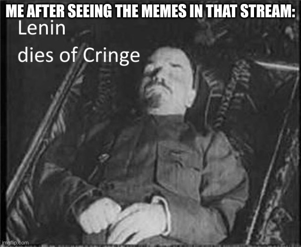 Lenin dies of CRINGE | ME AFTER SEEING THE MEMES IN THAT STREAM: | image tagged in lenin dies of cringe | made w/ Imgflip meme maker