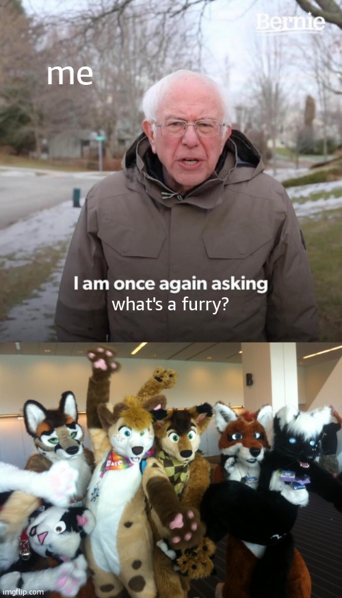 i'm realy asking. | me; what's a furry? | image tagged in memes,bernie i am once again asking for your support,furries | made w/ Imgflip meme maker