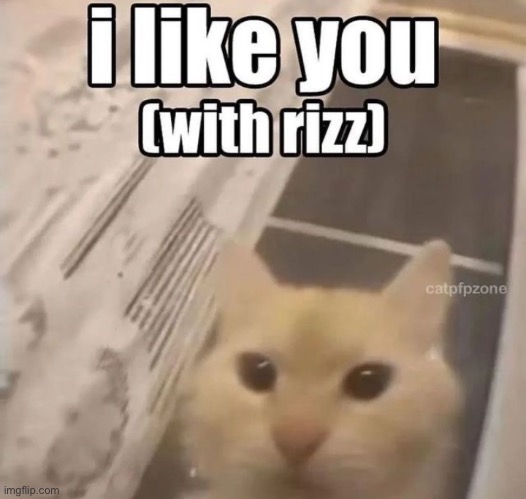 I like you with rizz | made w/ Imgflip meme maker