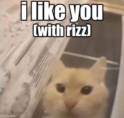 tag someone | made w/ Imgflip meme maker