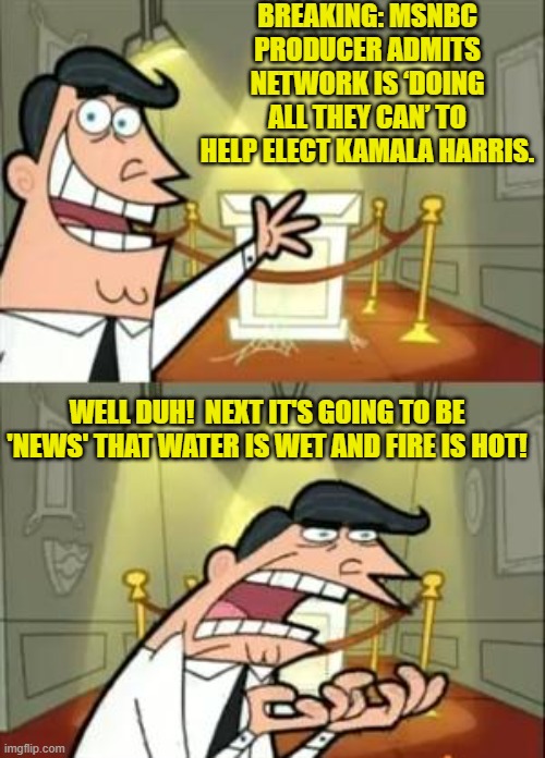 Even Captain Obvious won't touch this one. | BREAKING: MSNBC PRODUCER ADMITS NETWORK IS ‘DOING ALL THEY CAN’ TO HELP ELECT KAMALA HARRIS. WELL DUH!  NEXT IT'S GOING TO BE 'NEWS' THAT WATER IS WET AND FIRE IS HOT! | image tagged in this is where i'd put my trophy if i had one | made w/ Imgflip meme maker