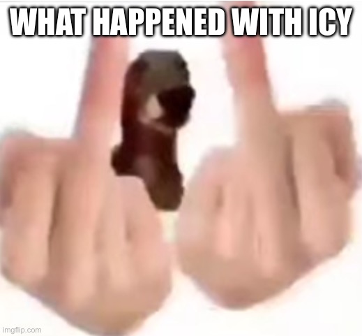 fuck you | WHAT HAPPENED WITH ICY | image tagged in fuck you | made w/ Imgflip meme maker