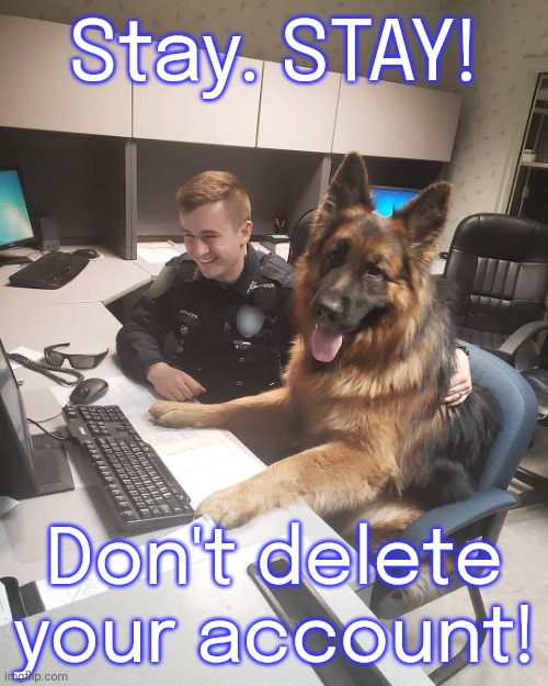 There aren't many things on this site which make me worry, but it seems excessive lately. | Stay. STAY! Don't delete your account! | image tagged in police dog sitting,imgflip trends,stop it,smh,enough is enough | made w/ Imgflip meme maker