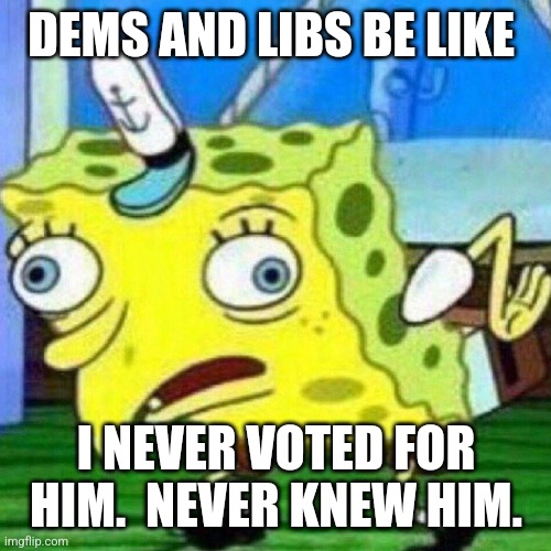 triggerpaul | DEMS AND LIBS BE LIKE I NEVER VOTED FOR HIM.  NEVER KNEW HIM. | image tagged in triggerpaul | made w/ Imgflip meme maker