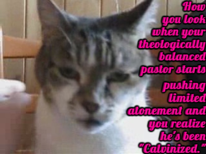 Calvinized | How you look when your theologically balanced pastor starts; pushing limited atonement and you realize he's been "Calvinized." | image tagged in calvinism,arminian,molinism,theological balance,memes,ugh | made w/ Imgflip meme maker