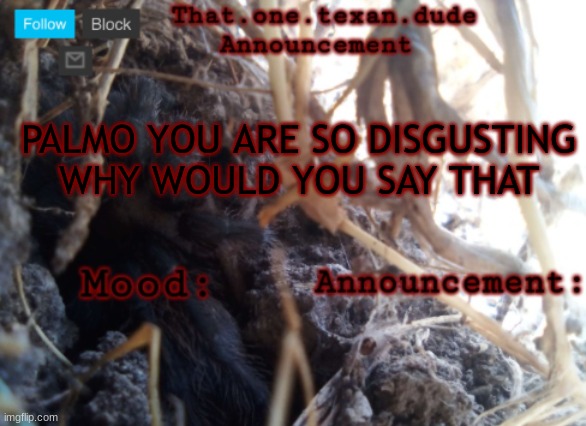 THE that.one.texan.dude announcement template | PALMO YOU ARE SO DISGUSTING WHY WOULD YOU SAY THAT | image tagged in the that one texan dude announcement template | made w/ Imgflip meme maker