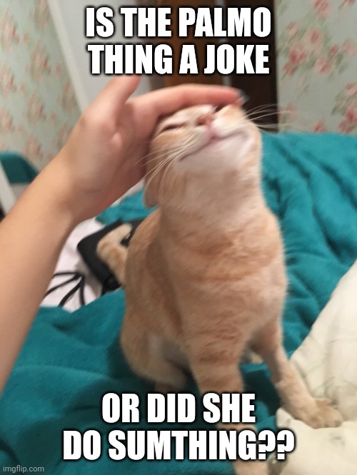 ?? | IS THE PALMO THING A JOKE; OR DID SHE DO SUMTHING?? | image tagged in cat pat | made w/ Imgflip meme maker