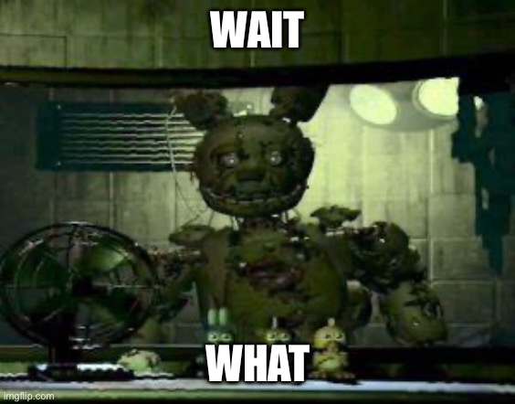 WAIT WHAT | image tagged in fnaf springtrap in window | made w/ Imgflip meme maker