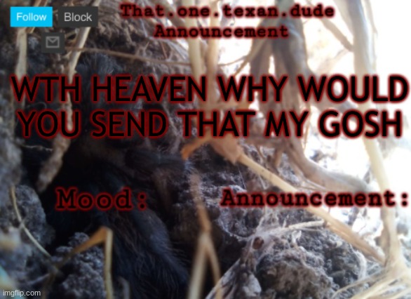 THE that.one.texan.dude announcement template | WTH HEAVEN WHY WOULD YOU SEND THAT MY GOSH | image tagged in the that one texan dude announcement template | made w/ Imgflip meme maker