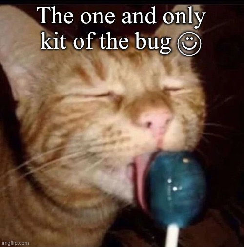 silly goober 2 | The one and only kit of the bug ◡̈⃝︎ | image tagged in silly goober 2 | made w/ Imgflip meme maker