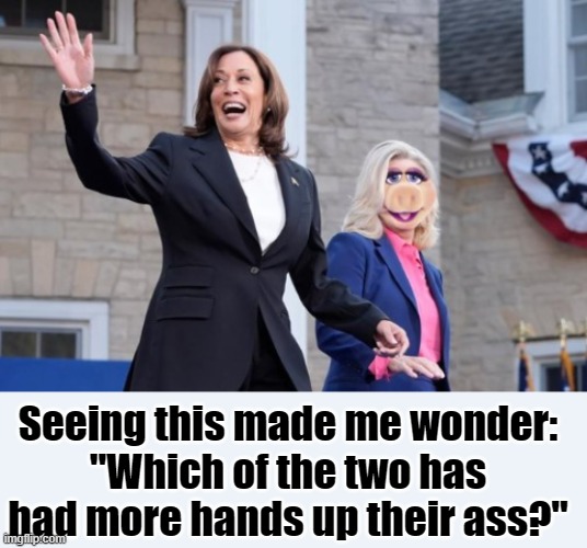 Raise your hand if you... nevermind. | Seeing this made me wonder:
"Which of the two has had more hands up their ass?" | image tagged in kamala harris,2024,presidential race,conservatives,political meme | made w/ Imgflip meme maker