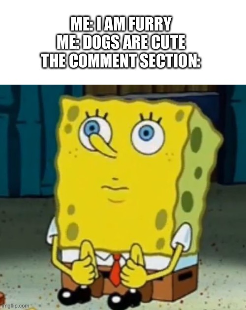 The joke is, “dogs are cute” came out wrong and comments spam “Zoophile” when im not one. | ME: I AM FURRY
ME: DOGS ARE CUTE
THE COMMENT SECTION: | image tagged in whiteboard,sponge bob - i'm waiting | made w/ Imgflip meme maker