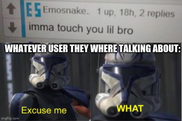 YES IMGFLIP I WOULD LIKE TO FILE A REPORT. | WHATEVER USER THEY WHERE TALKING ABOUT: | image tagged in imma touch you lil bro,excuse me what | made w/ Imgflip meme maker