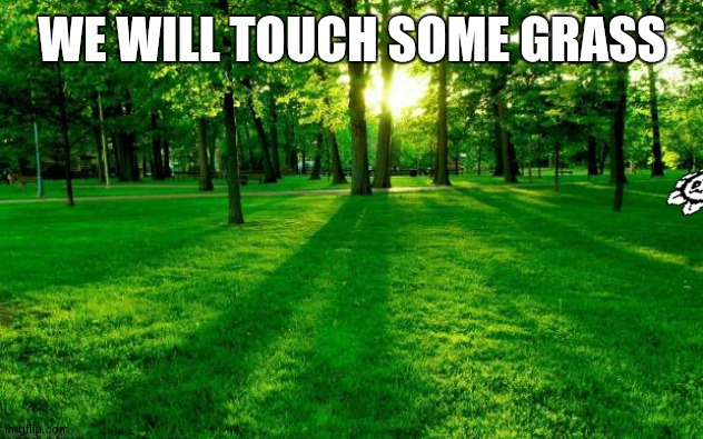 Grass and trees | WE WILL TOUCH SOME GRASS | image tagged in grass and trees | made w/ Imgflip meme maker