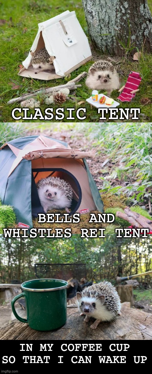 How we sleep on a camping trip | CLASSIC TENT; BELLS AND WHISTLES REI TENT; IN MY COFFEE CUP SO THAT I CAN WAKE UP | image tagged in hedgehog,cute,camping,tent,sleep,coffee | made w/ Imgflip meme maker