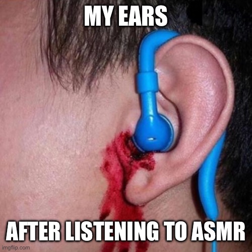 MY EARS; AFTER LISTENING TO ASMR | image tagged in asmr | made w/ Imgflip meme maker