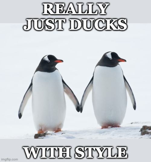 It's all in the details | REALLY JUST DUCKS; WITH STYLE | image tagged in two penguins,ducks,style | made w/ Imgflip meme maker