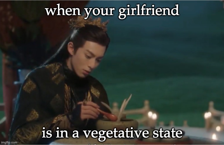 Fantasy can go so much farther with its metaphors | when your girlfriend; is in a vegetative state | image tagged in fairy and devil chinese fantasy,tv show,fantasy,metaphor,story,emotion | made w/ Imgflip meme maker