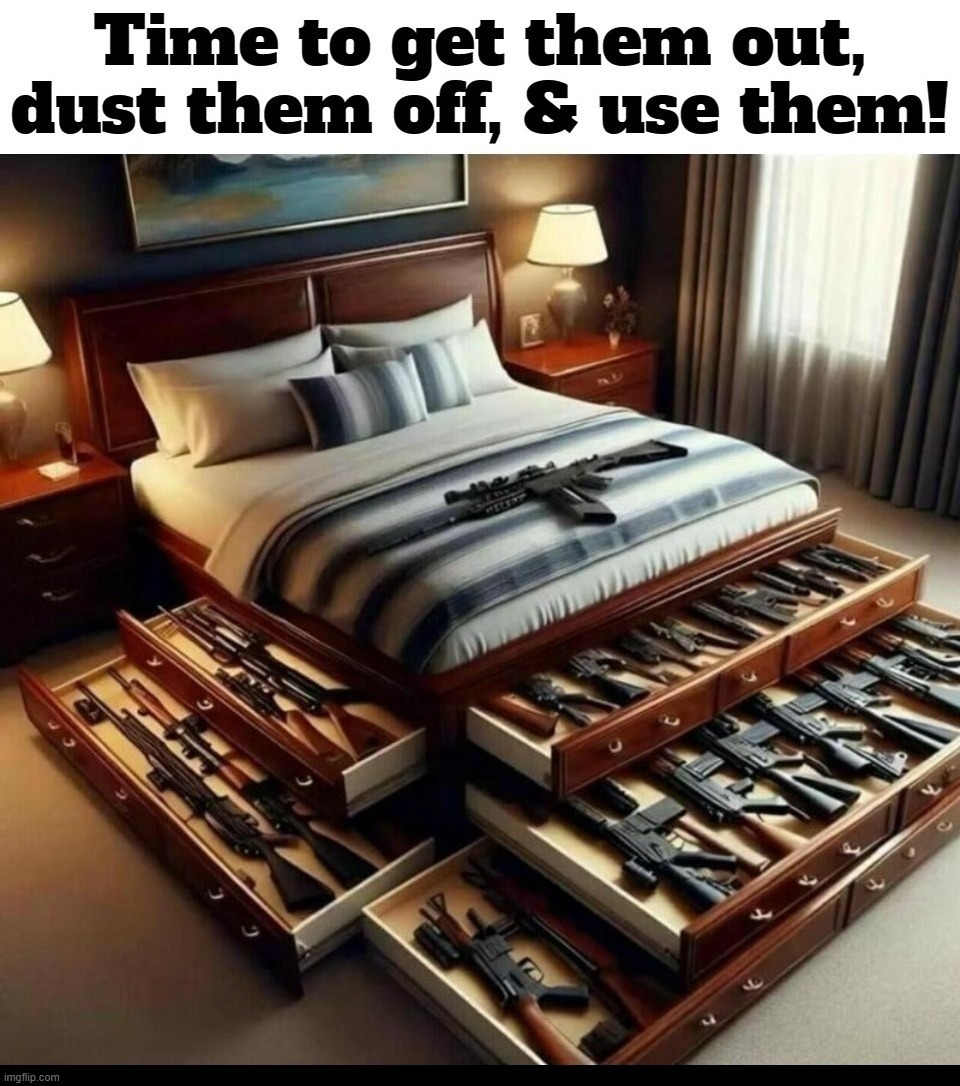 Time to get them out, dust them off, & use them! | image tagged in 2nd amendment,second amendment,defending liberty,self defense,american revolution,crush the commies | made w/ Imgflip meme maker