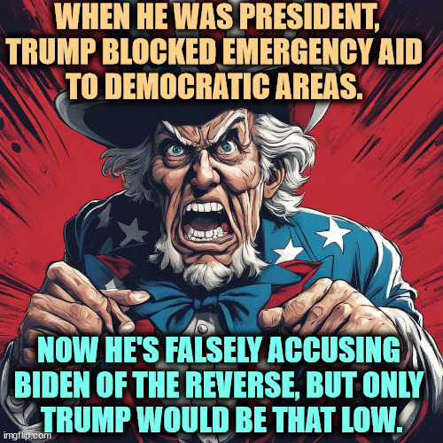 WHEN HE WAS PRESIDENT, TRUMP BLOCKED EMERGENCY AID 
TO DEMOCRATIC AREAS. NOW HE'S FALSELY ACCUSING 
BIDEN OF THE REVERSE, BUT ONLY 
TRUMP WOULD BE THAT LOW. | image tagged in trump,blocked,emergency,democrats,biden,false | made w/ Imgflip meme maker