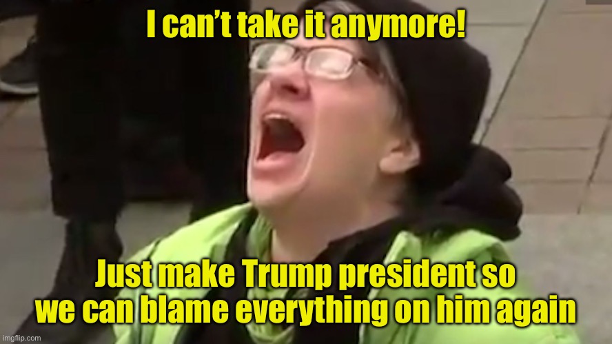 TDS frustration is at a boiling point | I can’t take it anymore! Just make Trump president so we can blame everything on him again | image tagged in screaming liberal,tds | made w/ Imgflip meme maker