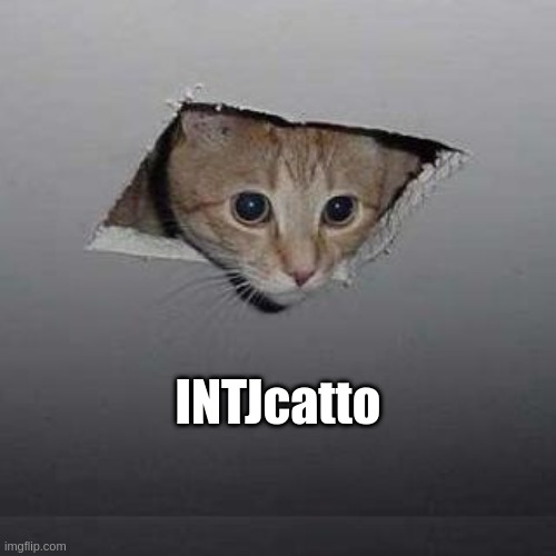 INTJ | INTJcatto | image tagged in memes,ceiling cat,intj,cat,mbti,myers briggs | made w/ Imgflip meme maker