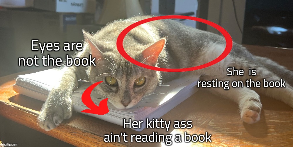 She isn't slick | She  is resting on the book; Eyes are not the book; Her kitty ass ain't reading a book | made w/ Imgflip meme maker