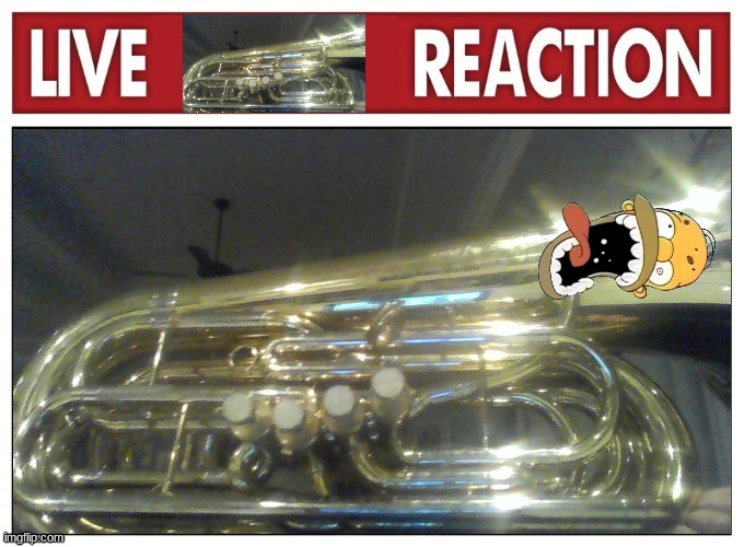 Live Tuba Reaction | image tagged in live tuba reaction | made w/ Imgflip meme maker