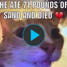 Sand | image tagged in you,actually,clicked,crazy,memes,funny | made w/ Imgflip meme maker