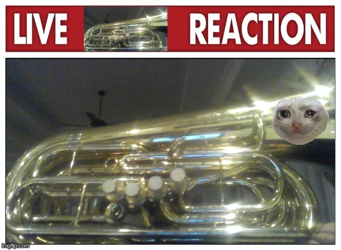 Live Tuba Reaction | image tagged in live tuba reaction | made w/ Imgflip meme maker