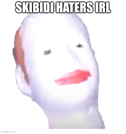 Felipe | SKIBIDI HATERS IRL | image tagged in felipe | made w/ Imgflip meme maker