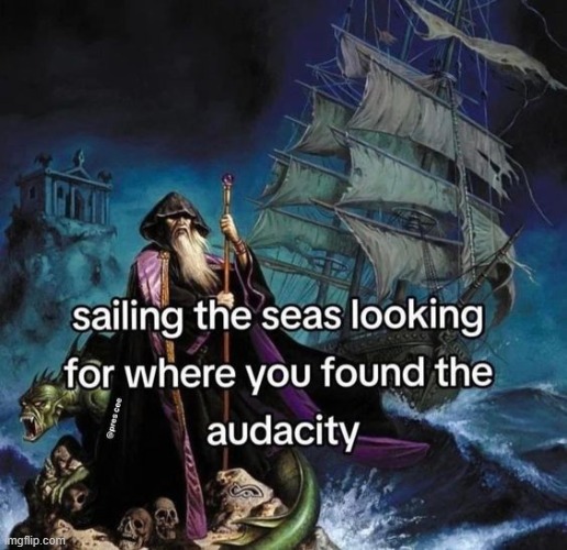 the audacity. | image tagged in the audacity | made w/ Imgflip meme maker