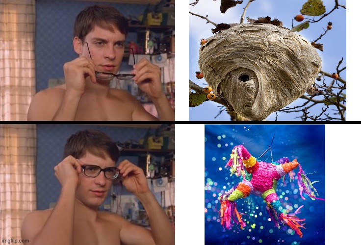 Peter Parker Wearing Glasses | image tagged in peter parker wearing glasses,wasp,animals,pinata,idiots | made w/ Imgflip meme maker