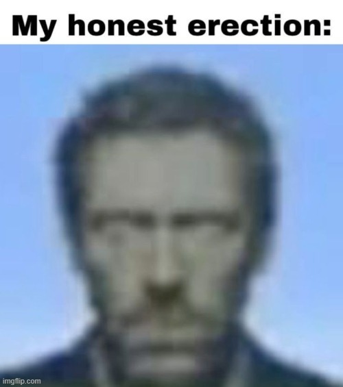 my honest erection | image tagged in my honest erection | made w/ Imgflip meme maker