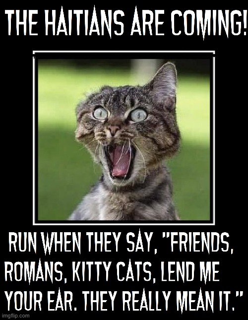 PETS!  Run for your lives —ALL 9 of them! | image tagged in vince vance,cats,haitians,pets,springfield,memes | made w/ Imgflip meme maker