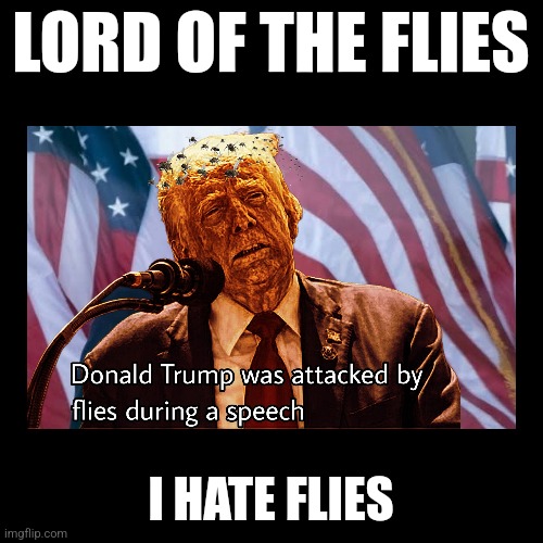 Hater in Chief | LORD OF THE FLIES; I HATE FLIES | image tagged in donald trump,flies,liar,traitor | made w/ Imgflip meme maker