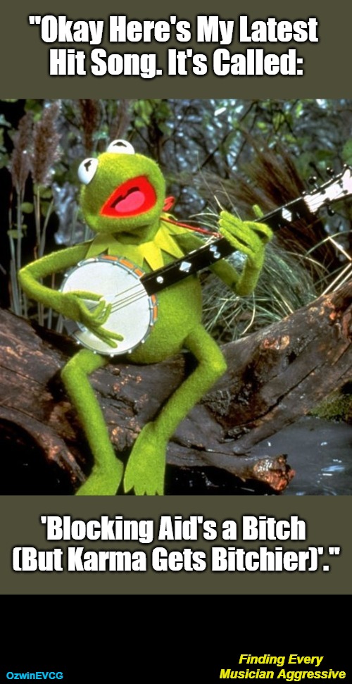 Finding Every Musician Aggressive | "Okay Here's My Latest 

Hit Song. It's Called:; 'Blocking Aid's a Bitch 

(But Karma Gets Bitchier)'."; Finding Every 

Musician Aggressive; OzwinEVCG | image tagged in fema,red cross,corruption,hurricane helene,treason,kermit banjo | made w/ Imgflip meme maker