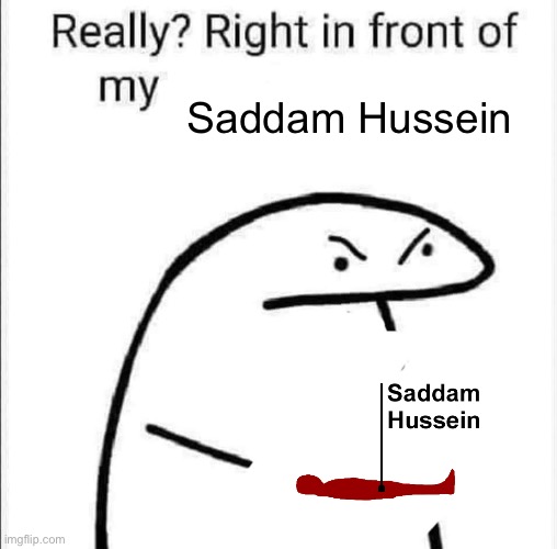 Really, right in front of my | Saddam Hussein | image tagged in really right in front of my | made w/ Imgflip meme maker