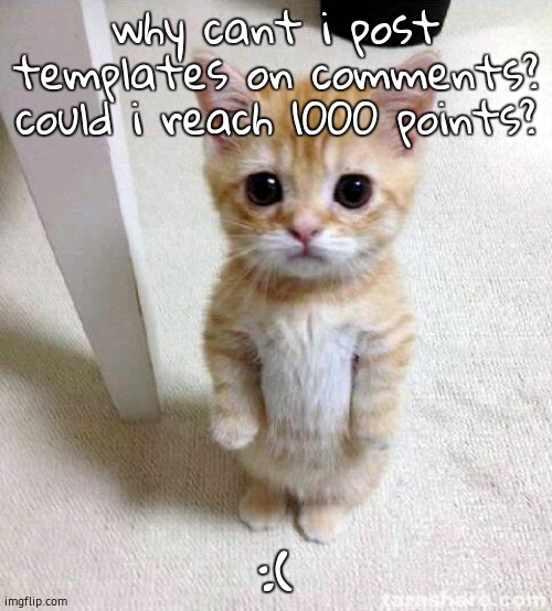 why???? | why cant i post templates on comments? could i reach 1000 points? :( | image tagged in imgflip | made w/ Imgflip meme maker