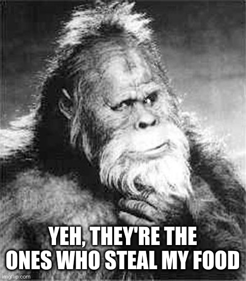 Bigfoot | YEH, THEY'RE THE ONES WHO STEAL MY FOOD | image tagged in bigfoot | made w/ Imgflip meme maker