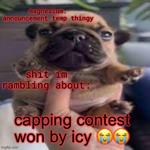 pug temp | capping contest won by icy 😭😭 | image tagged in pug temp | made w/ Imgflip meme maker