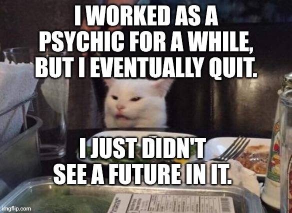 Smudge that darn cat | I WORKED AS A PSYCHIC FOR A WHILE, BUT I EVENTUALLY QUIT. I JUST DIDN'T SEE A FUTURE IN IT. | image tagged in smudge that darn cat | made w/ Imgflip meme maker