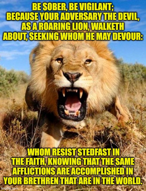 lion | BE SOBER, BE VIGILANT; BECAUSE YOUR ADVERSARY THE DEVIL, AS A ROARING LION, WALKETH ABOUT, SEEKING WHOM HE MAY DEVOUR:; WHOM RESIST STEDFAST IN THE FAITH, KNOWING THAT THE SAME AFFLICTIONS ARE ACCOMPLISHED IN YOUR BRETHREN THAT ARE IN THE WORLD. | image tagged in lion | made w/ Imgflip meme maker