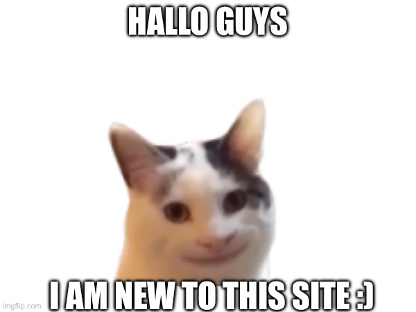 Hallo!! | HALLO GUYS; I AM NEW TO THIS SITE :) | image tagged in memes | made w/ Imgflip meme maker