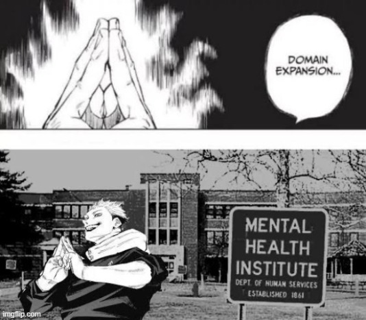 Domain expansion mental institute | image tagged in domain expansion mental institute | made w/ Imgflip meme maker