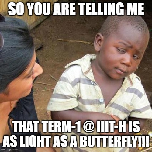 IIIT-HYD | SO YOU ARE TELLING ME; THAT TERM-1 @ IIIT-H IS AS LIGHT AS A BUTTERFLY!!! | image tagged in memes,third world skeptical kid | made w/ Imgflip meme maker