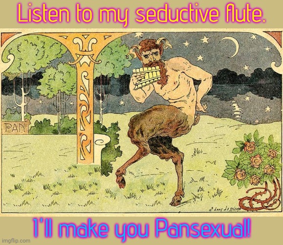 Gay panic? | Listen to my seductive flute. I'll make you Pansexual! | image tagged in pan,greek mythology,for the love of god,punny,lgbt | made w/ Imgflip meme maker